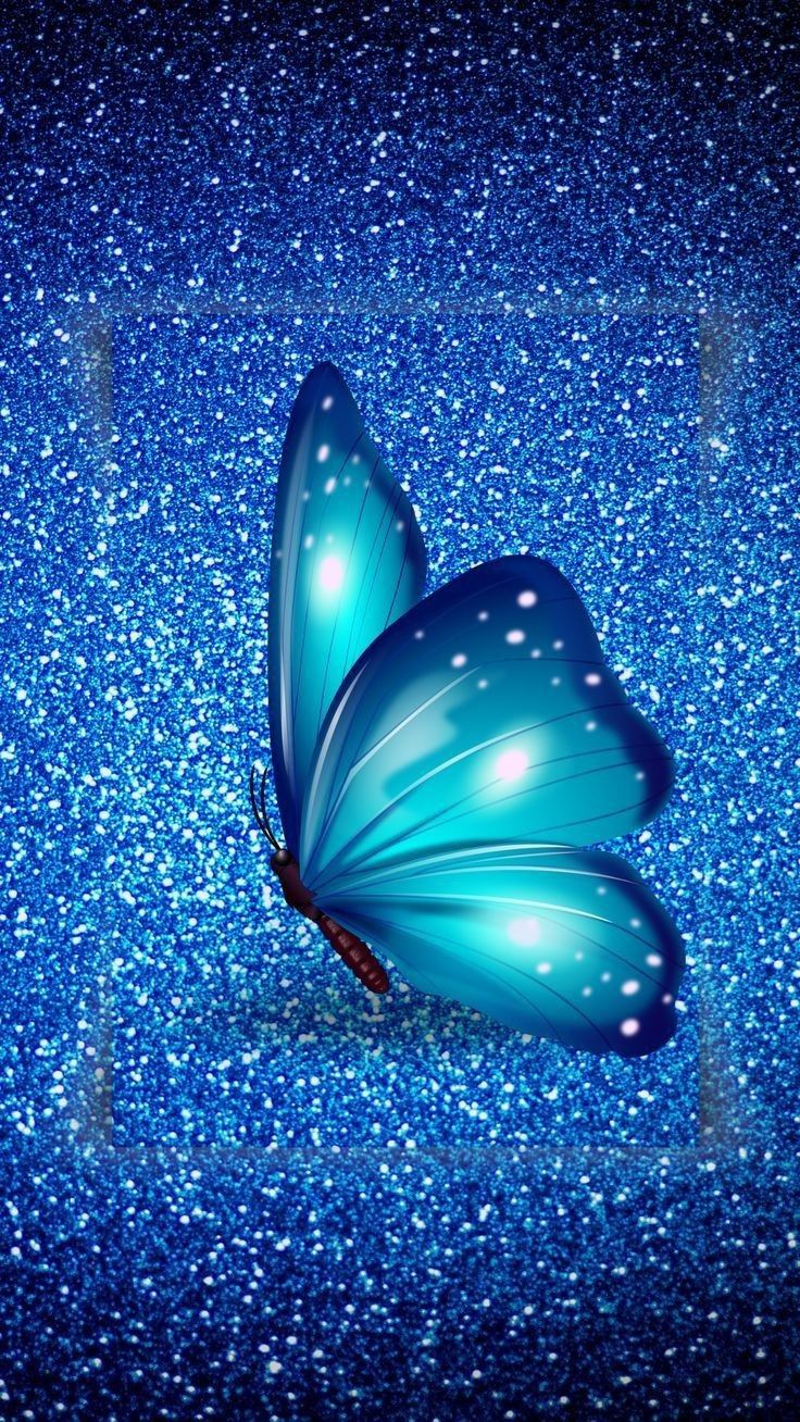 Butterfly Dp