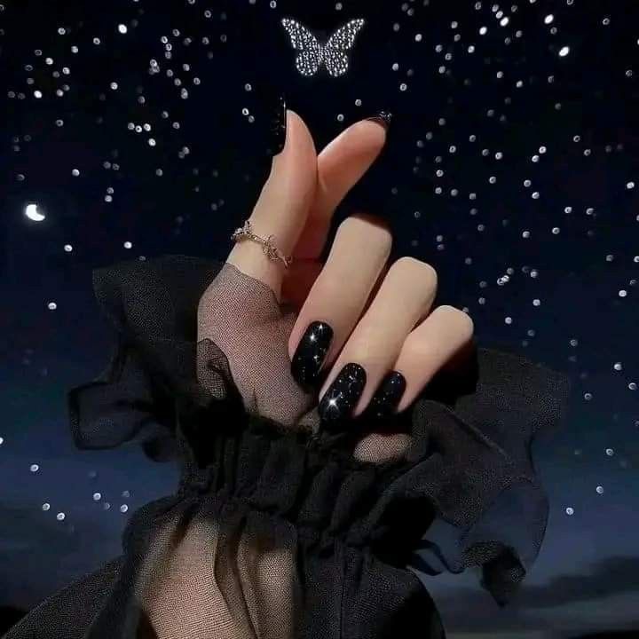 Butterfly Dp