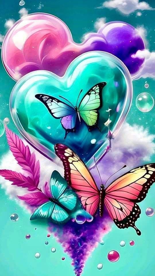 Butterfly Dp