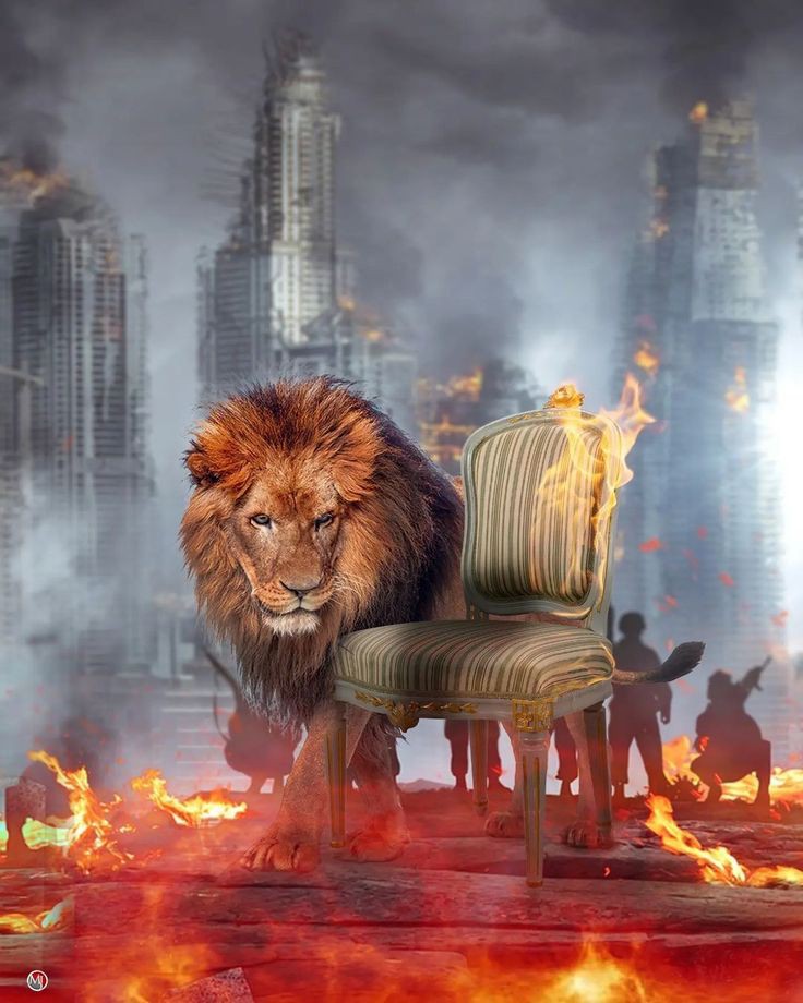 King DP