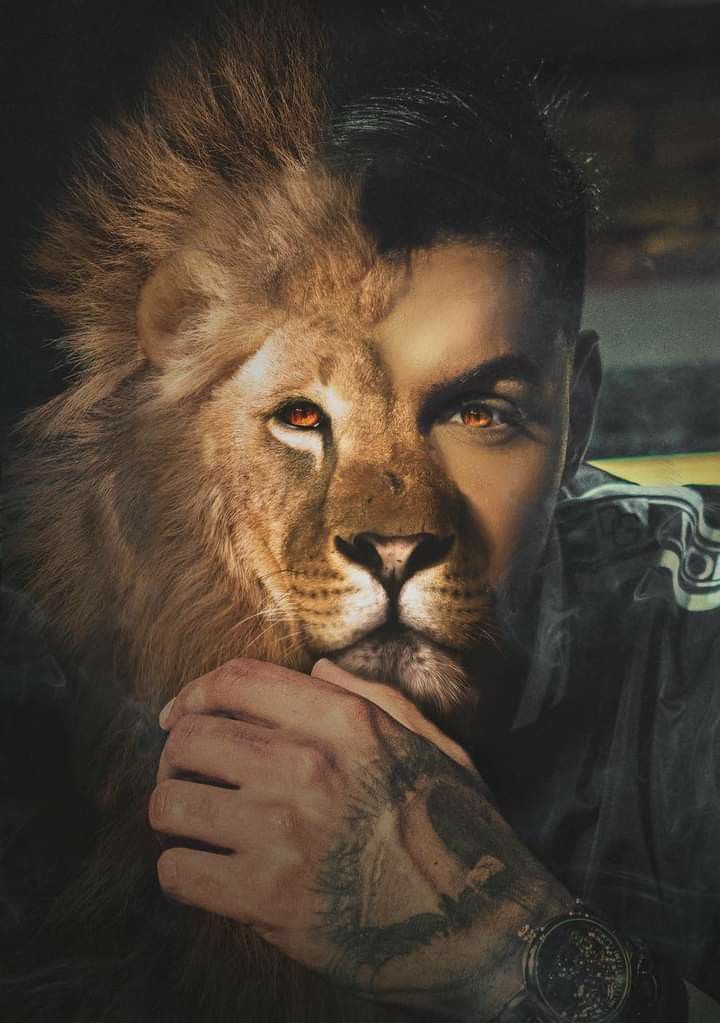 King DP
