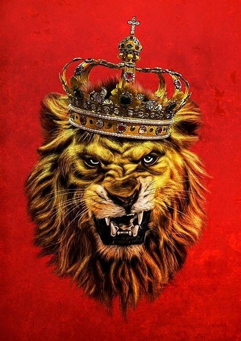 King DP