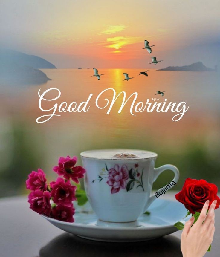 Good Morning Images