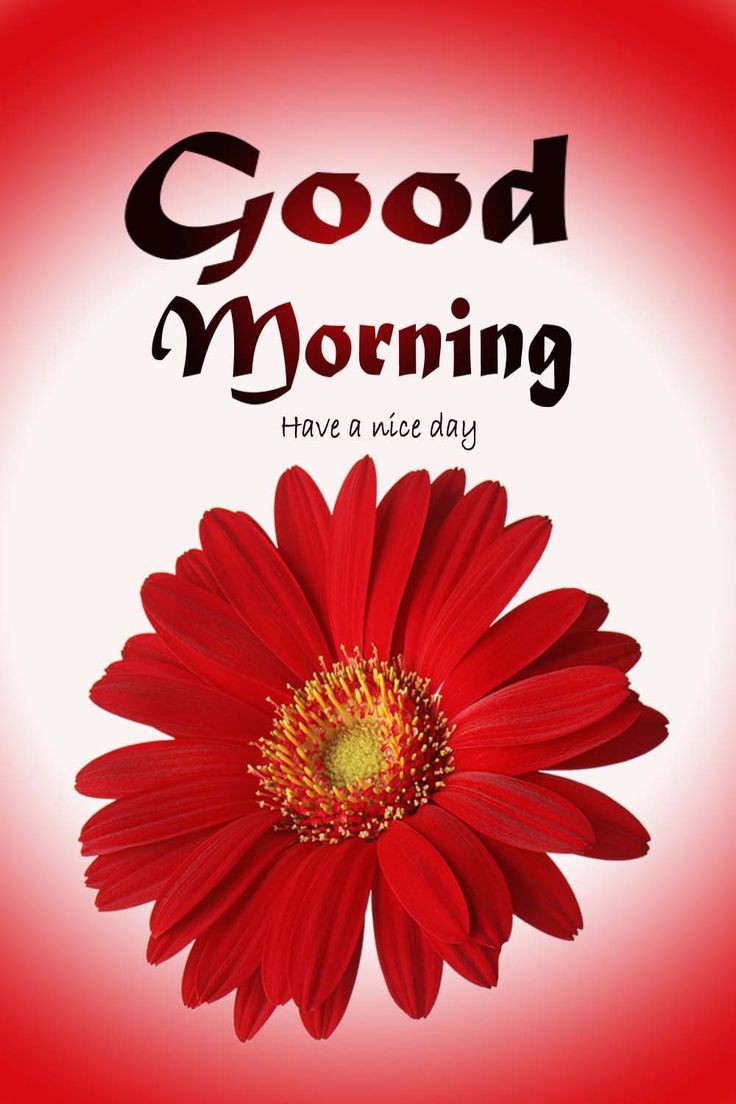 Good Morning Images