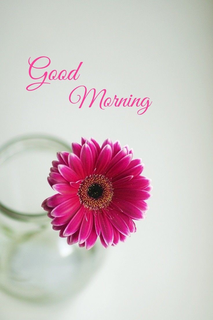Good Morning Images