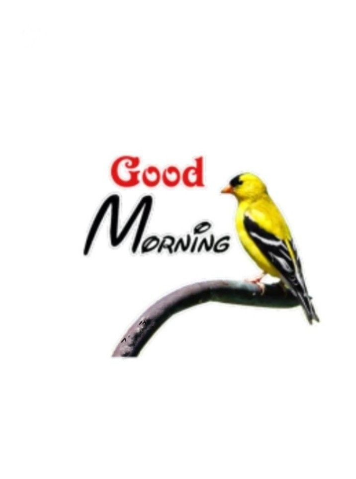Good Morning Images
