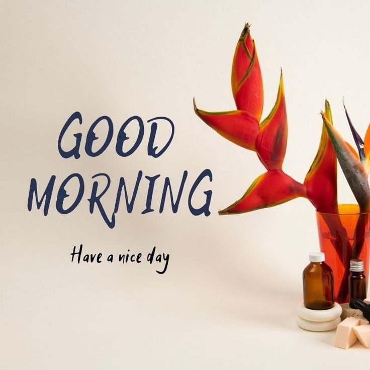 Good Morning Images