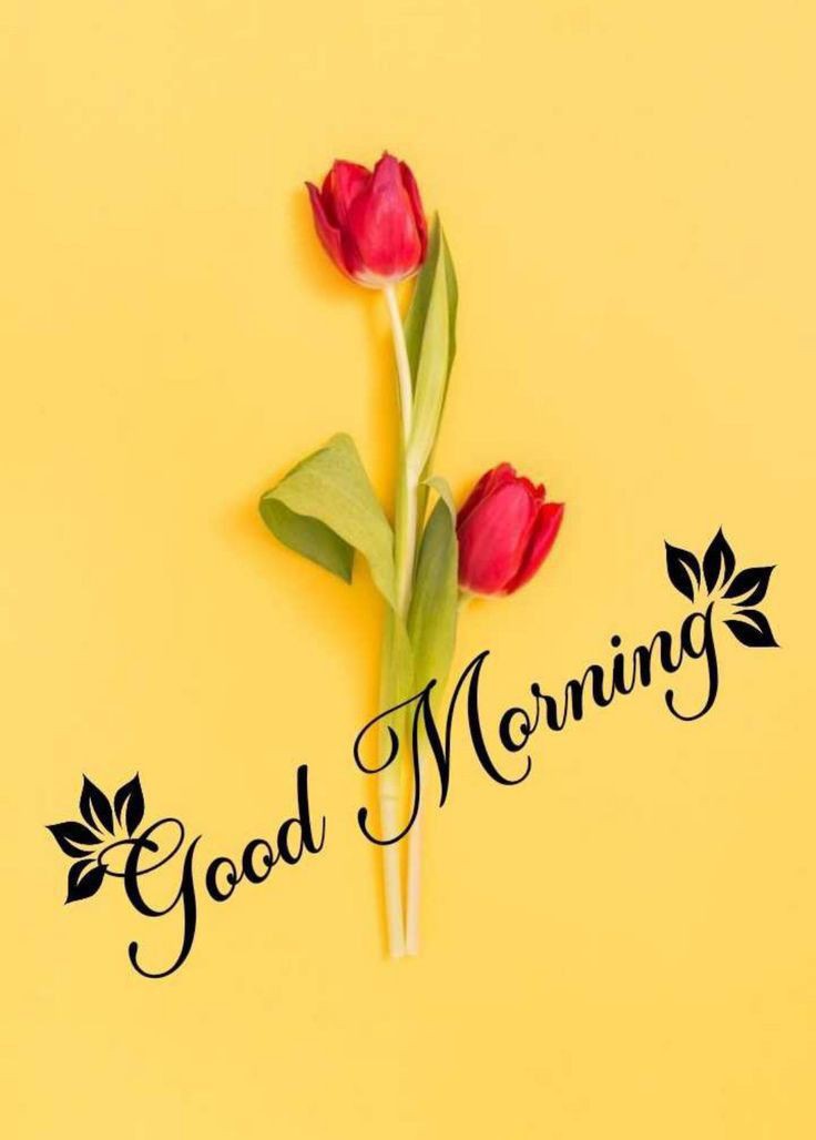 Good Morning Images