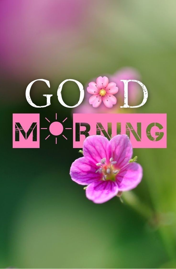 Good Morning Images