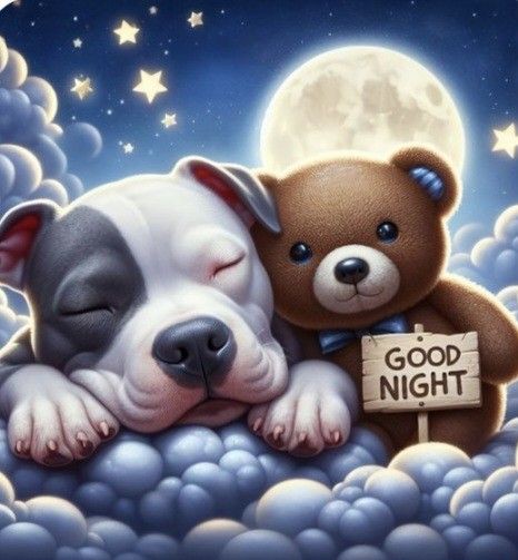 Good Night Images