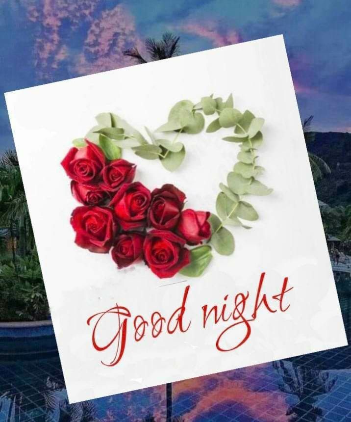 Good Night Images
