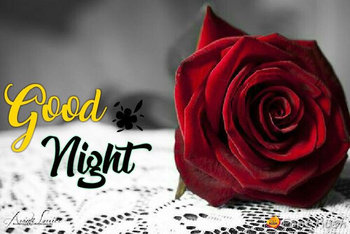 Good Night Images